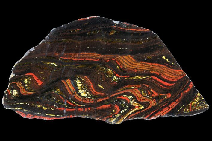 Polished Tiger Iron Stromatolite - ( Billion Years) #96223